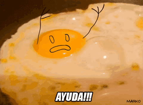 Ayuda Al Huevo GIF