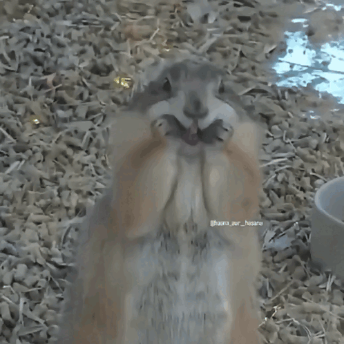 B GIF. This 498 x 498 animated GIF is part of our lustige freitags bilder collection. Created by blelle. View the original animation, share it, or browse…