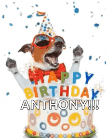 Baby Boy GIF