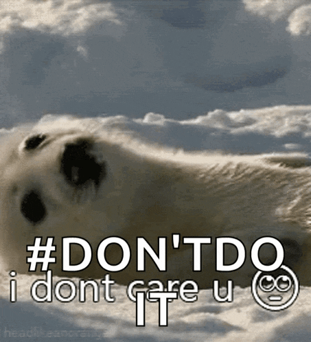 Baby Harp Seal Dont Care GIF