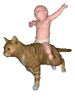 Baby-on-tiger Sticker