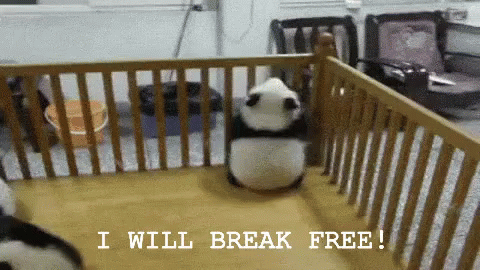 Baby Panda Will Break Free! GIF