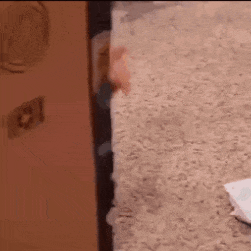 Baby Peeping Smile Baby Smile GIF