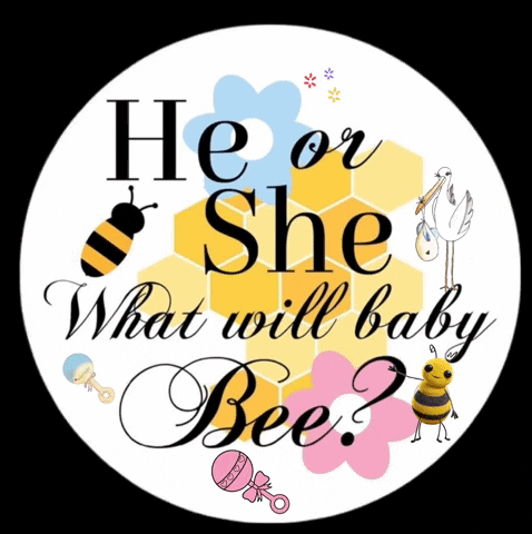 Baby Shower Gender Reveal GIF