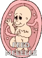 Baby Womb GIF