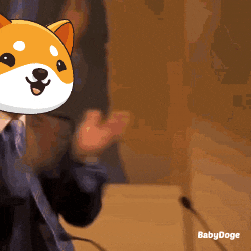 Babydoge Crypto GIF