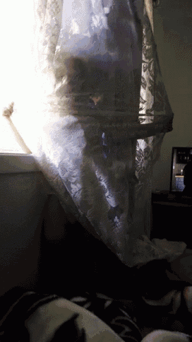 Babylily Goofball GIF