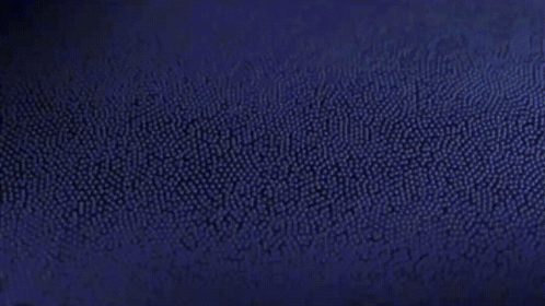 Bacteria Sphere GIF