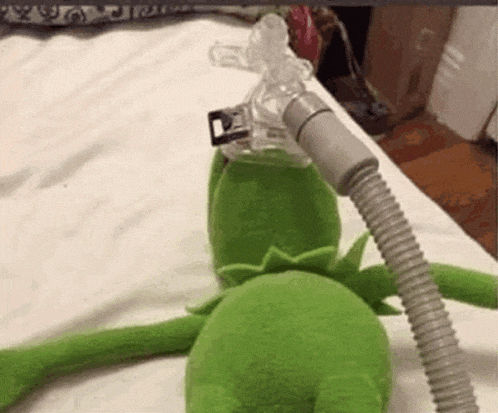 Bad Behavior GIF