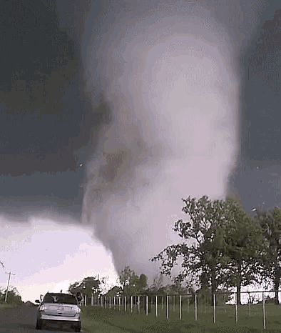 Bad Day GIF