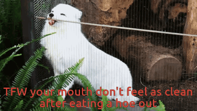 Bad Taste Cotton Mouth GIF