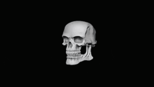 Bad To The Bone Meme GIF