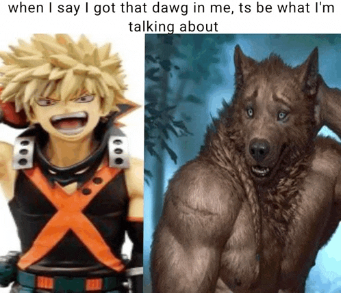 Bakugo Meme