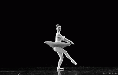 Ballerina Ballet GIF