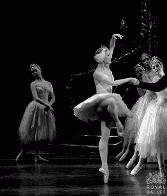 Ballet Dancer GIF