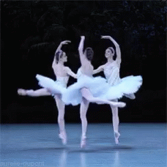 Ballet Dancers GIF