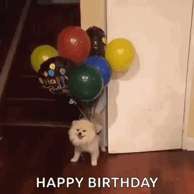 Balloon Dog GIF