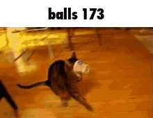 Balls 173 GIF