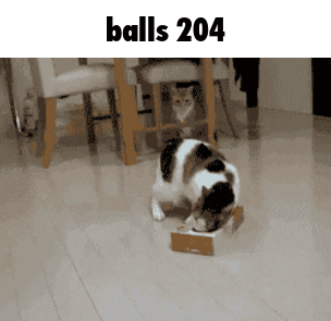 Balls 204 GIF