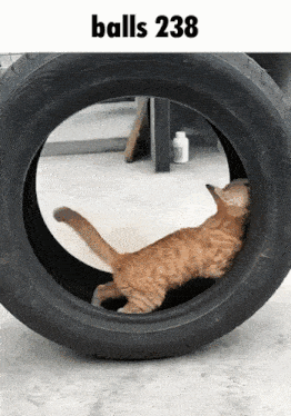Balls 238 GIF