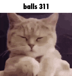 Balls 311 GIF