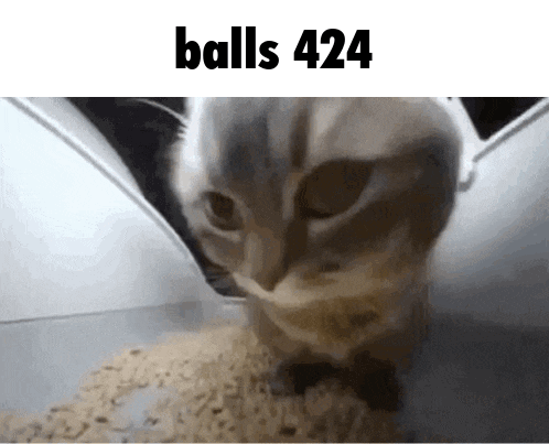 Balls 424 GIF. This 498 x 403 animated GIF is part of our get to the choppa collection. Created by corticotrophin. View the original animation, share it, or…