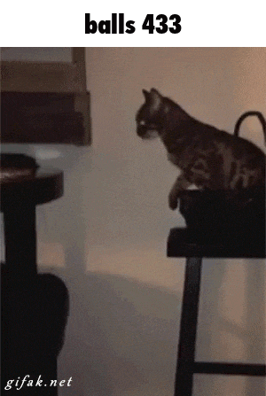 Balls 433 GIF