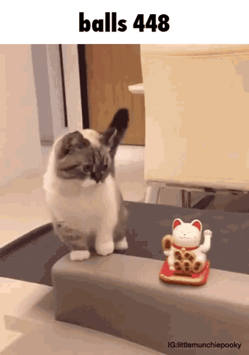 Balls 448 GIF