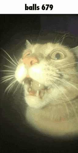 Balls 679 GIF