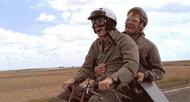 Balthazar Dumb And Dumber GIF
