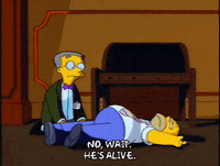 Balthazar Homer GIF