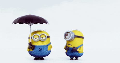 Balthazar Parapluie GIF