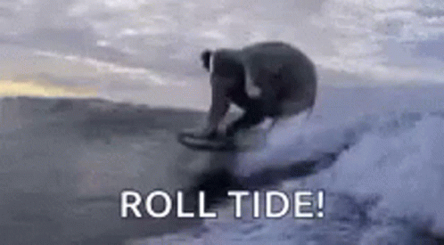 Bama Fans GIF