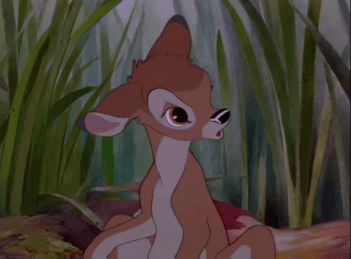 Bambi Bambi The Deer GIF. This 498 x 368 animated GIF is part of our tambor bambi collection. Related themes include angry, mad. Created by dylanswolrd…