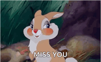 Bambi Thumber GIF. This 352 x 216 animated GIF is part of our tambor bambi collection. Related themes include flirt, hello, rabbit. Created by kimmi328…
