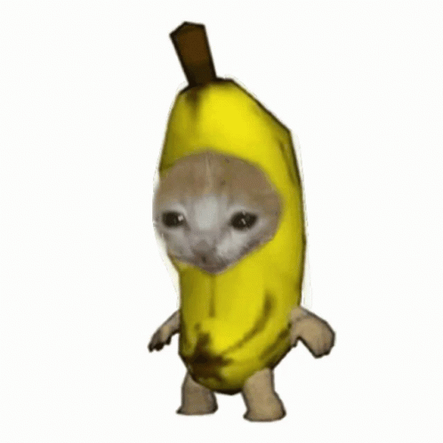 Banana Cat GIF