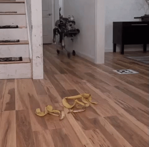 Banana Peel Robot GIF. This 480 x 472 animated GIF is part of our funny robot collection. Related themes include funny, robot. Created by Saintrph. View the…