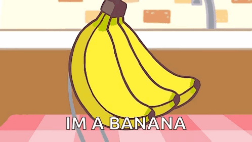 Bananya Banana Kittens GIF