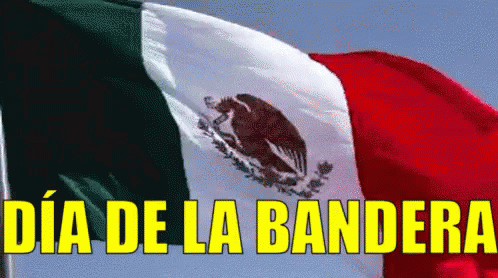 Bandera De México En El Mastil GIF