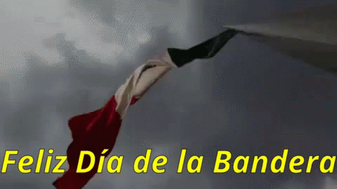 Bandera De México Ondeando GIF