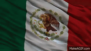Bandera De Mexico GIF