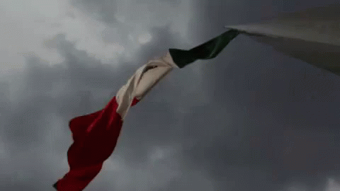 Banderade México GIF