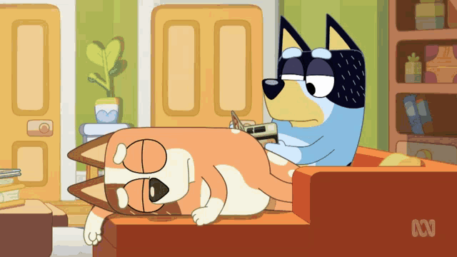 Bandit Heeler GIF