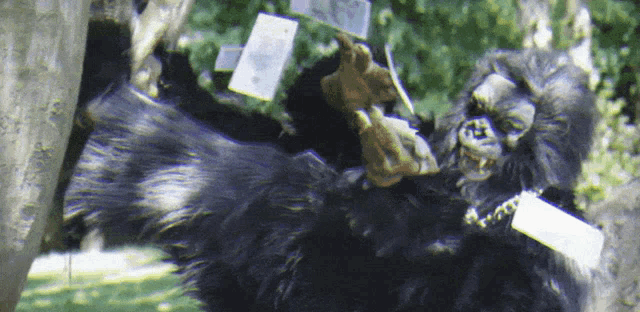 Banish Black Desert Online GIF