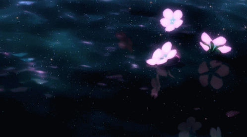 Banner Banners GIF