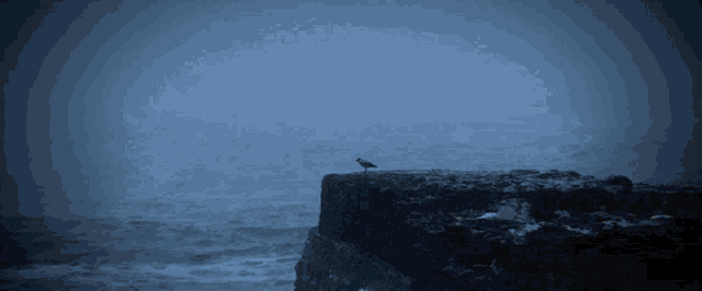 Banner Discord Banner GIF