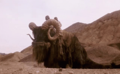 Bantha Star Wars GIF