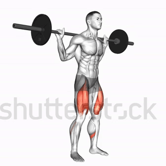Barbellsquats Gymexercisesmen GIF