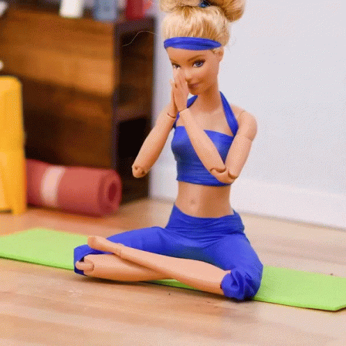 Barbie Barbie Clothing GIF