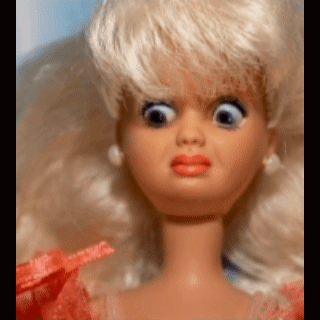 Barbie Barbie Doll GIF